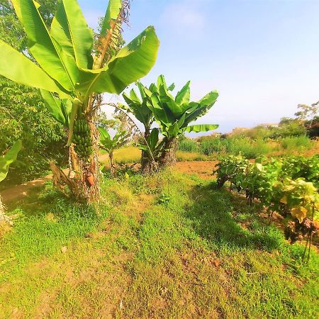 Casa En Finca Ecologica - Wifi لا أوروتافا المظهر الخارجي الصورة