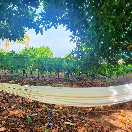 Casa En Finca Ecologica - Wifi لا أوروتافا المظهر الخارجي الصورة