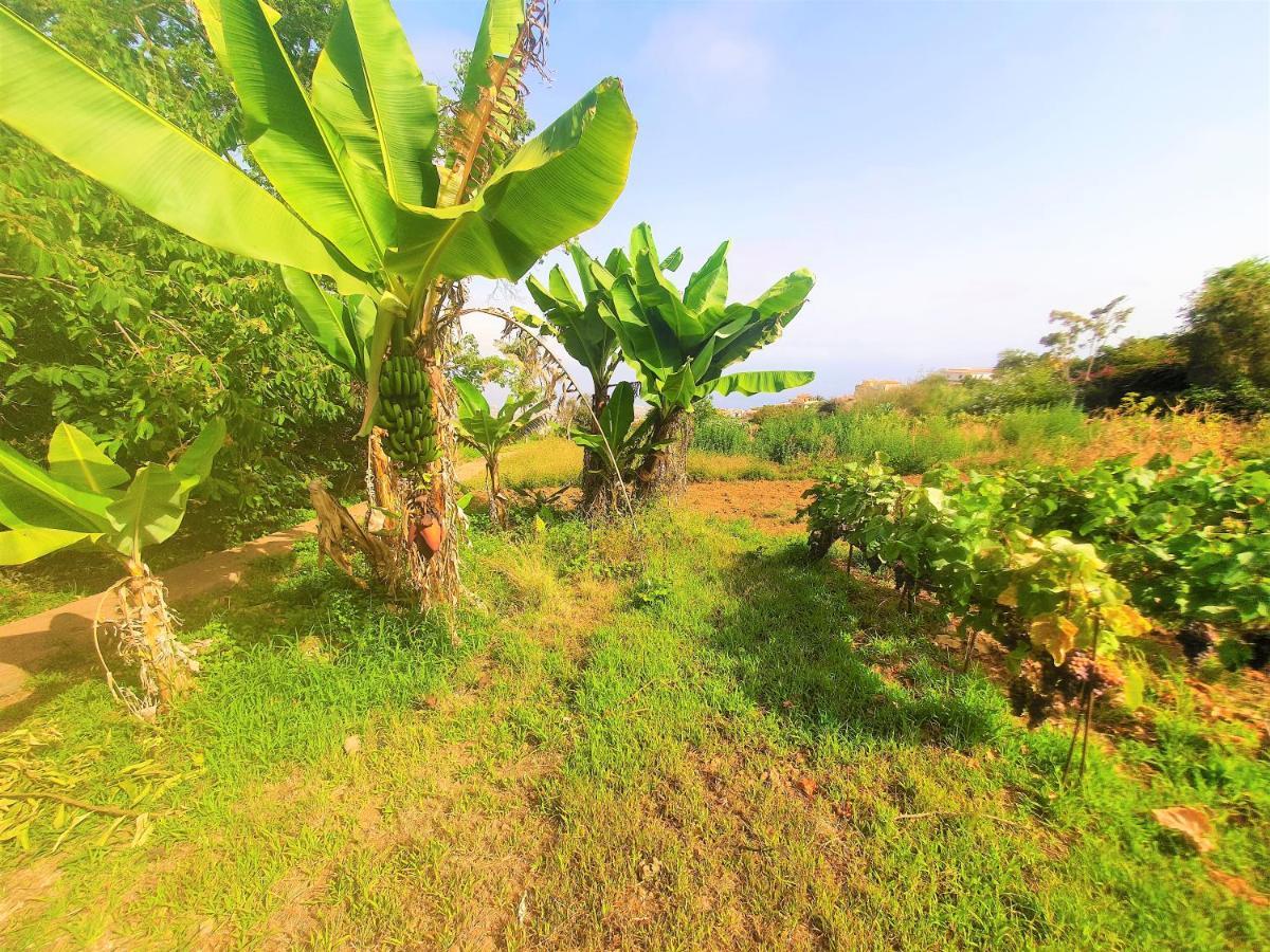 Casa En Finca Ecologica - Wifi لا أوروتافا المظهر الخارجي الصورة