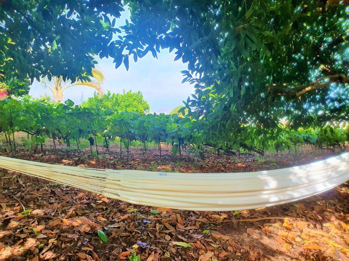 Casa En Finca Ecologica - Wifi لا أوروتافا المظهر الخارجي الصورة