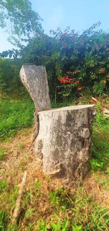 Casa En Finca Ecologica - Wifi لا أوروتافا المظهر الخارجي الصورة