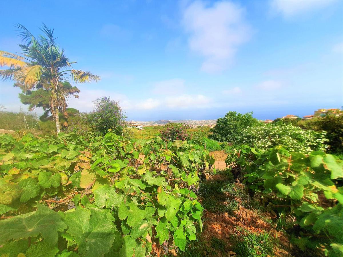 Casa En Finca Ecologica - Wifi لا أوروتافا المظهر الخارجي الصورة