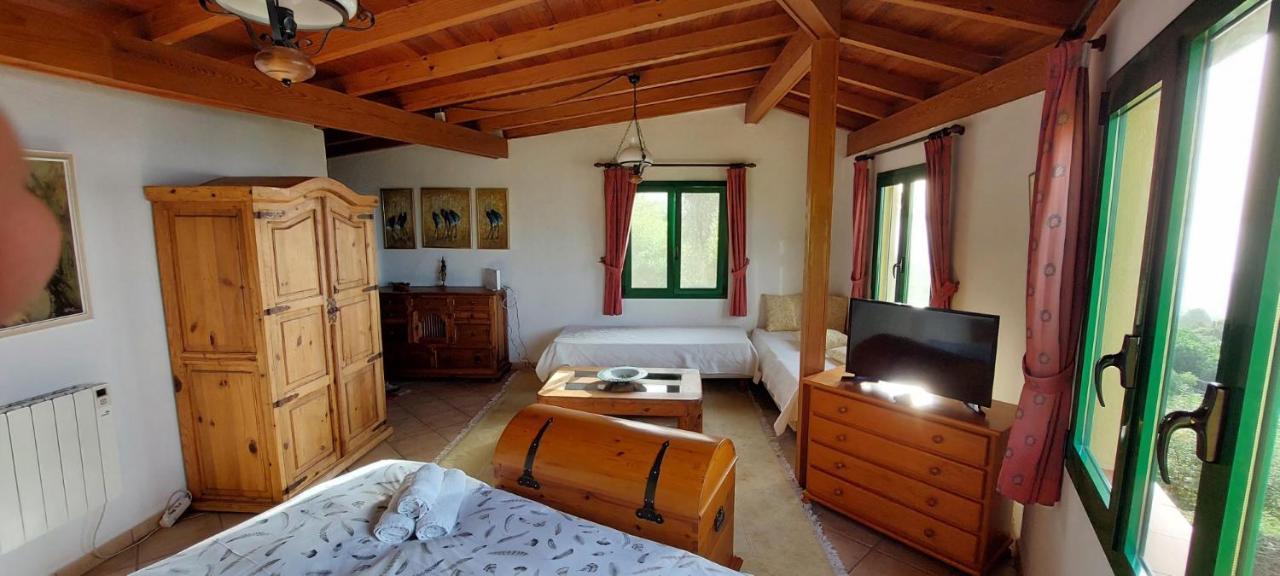 Casa En Finca Ecologica - Wifi لا أوروتافا المظهر الخارجي الصورة