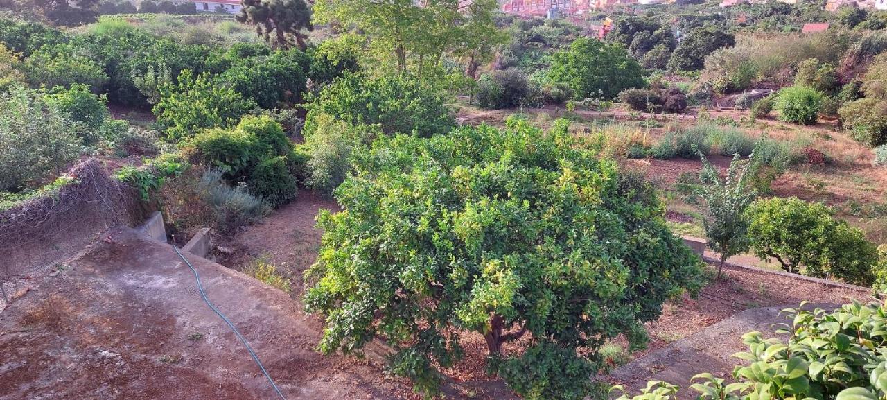 Casa En Finca Ecologica - Wifi لا أوروتافا المظهر الخارجي الصورة