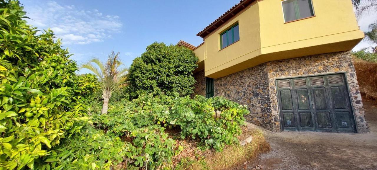 Casa En Finca Ecologica - Wifi لا أوروتافا المظهر الخارجي الصورة