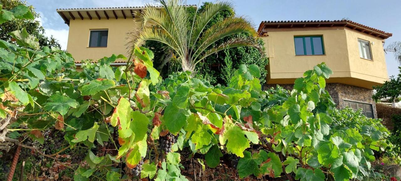 Casa En Finca Ecologica - Wifi لا أوروتافا المظهر الخارجي الصورة