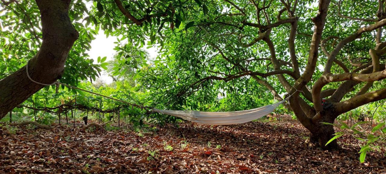 Casa En Finca Ecologica - Wifi لا أوروتافا المظهر الخارجي الصورة